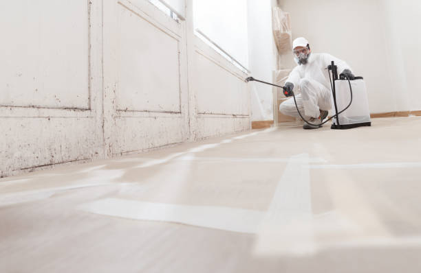 24/7 Emergency Mold Inspection experts in Roslyn, NY